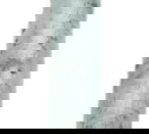 Eixo Balança Bmw F 800 Gs 13-16 Original