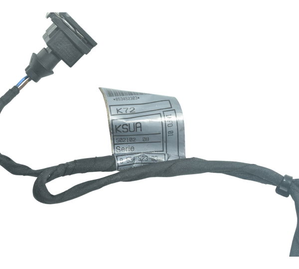 Chicote Injeção Secundário Bmw F 800 Gs 13-16 Original