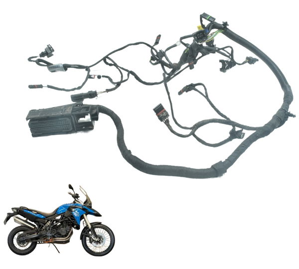Chicote Injeção Secundário Bmw F 800 Gs 13-16 Original