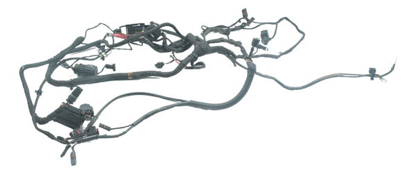 Chicote Principal Bmw F 800 Gs 13-16 Original