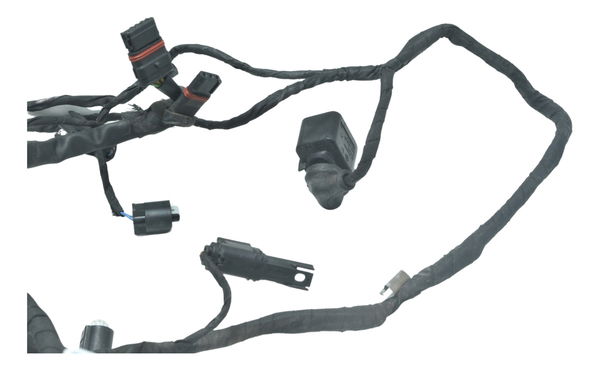 Chicote Principal Bmw F 800 Gs 13-16 Original