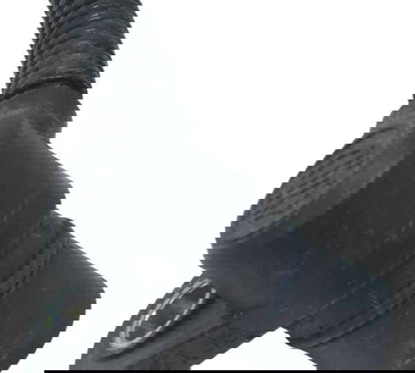 Sensor Ckp Harley Davidson Fat Bob Fxdf 13-16 Original