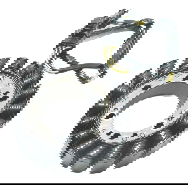 Estator Bmw F 800 Gs 09-17 Original