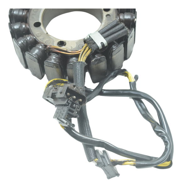 Estator Bmw F 800 Gs 09-17 Original