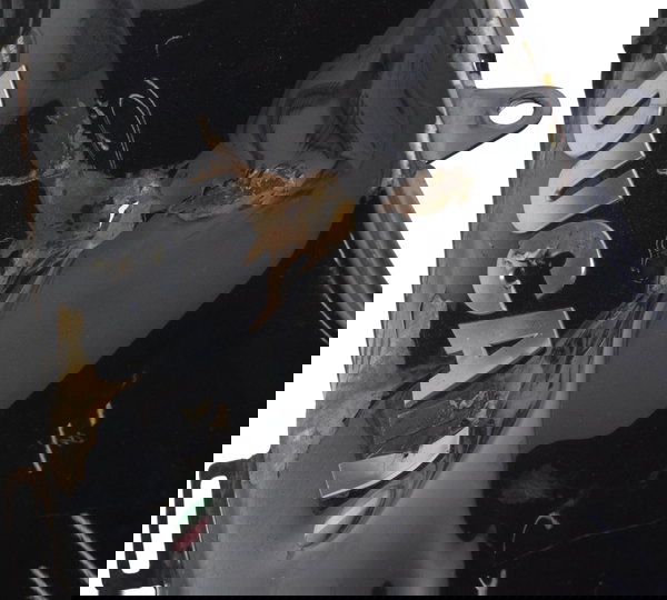 Capa Tanque C/ Avaria Ducati Diavel 11-16 Original