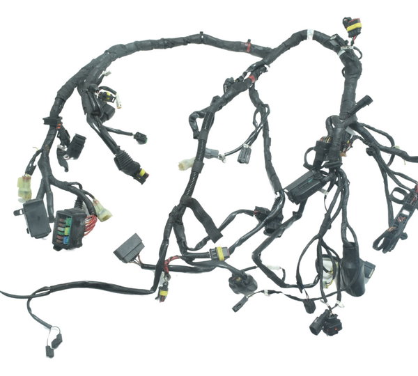 Chicote Principal Ducati Diavel 11-16 Original