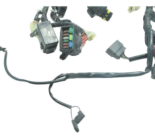 Chicote Principal Ducati Diavel 11-16 Original