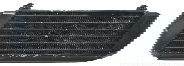 Radiador Óleo Bmw R 1200 Gs R1200 04-07 Original