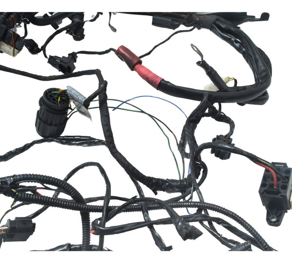 Chicote Principal Bmw R 1200 Gs R1200 04-07 Original