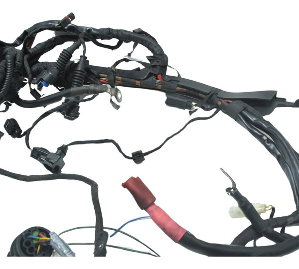 Chicote Principal Bmw R 1200 Gs R1200 04-07 Original