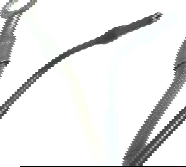 Flexível Abs Dianteiro Bmw R 1200 Gs R1200 04-07 Original