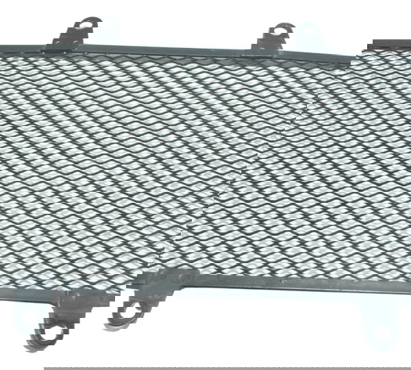 Grade Proteção Radiador Kawasaki Versys 300 X 18-24 Original Preto