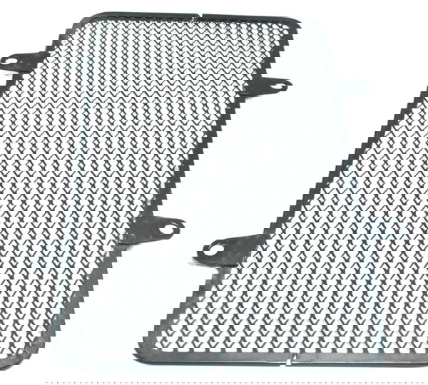 Grade Proteção Radiador Kawasaki Versys 300 X 18-24 Original Preto