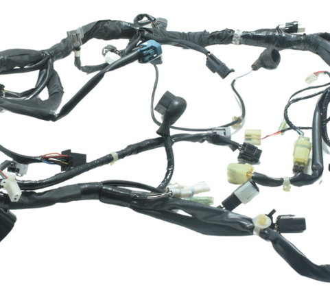 Chicote Principal C/ Abs Kawasaki Versys 300 X 18-24 Orig