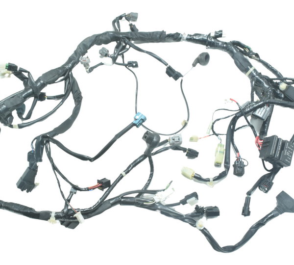 Chicote Principal C/ Abs Kawasaki Versys 300 X 18-24 Orig