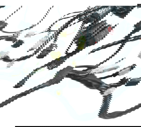 Chicote Principal C/ Abs Kawasaki Versys 300 X 18-24 Orig