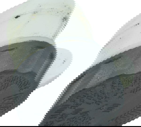 Reservatório Freio Traseiro Kawasaki Versys 300 X 18-24 Orig