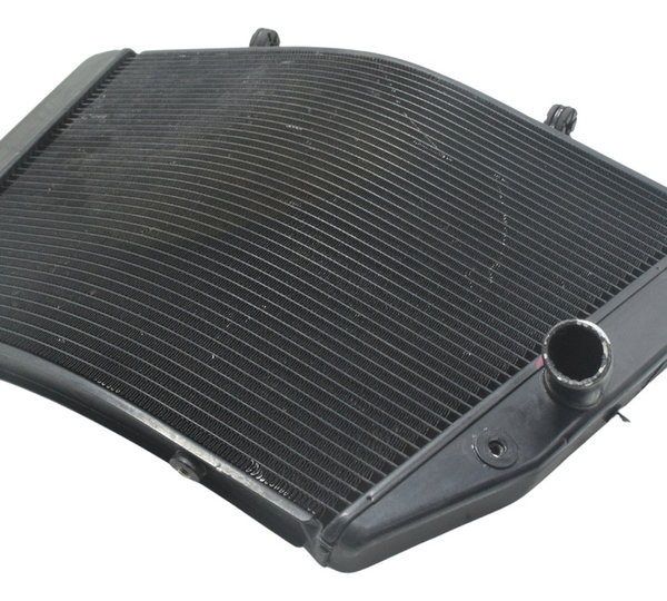 Radiador Água C/ Detalhes Suzuki Gsx-r Srad 1000 11-16 Orig