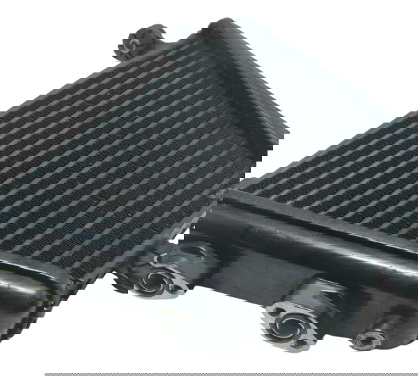 Radiador Óleo Suzuki Gsx-r Srad 1000 11-16 Original