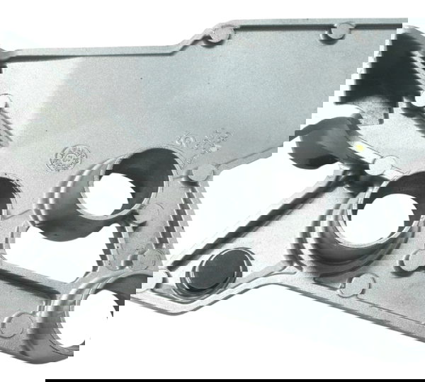 Bacalhau Dianteiro Esquerdo Kawasaki Versys 1000 12-15 Orig