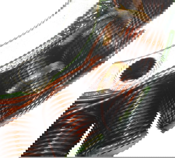 Estator Kawasaki Versys 1000 12-15 Original