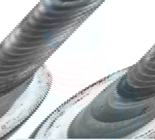 Parafuso Disco De Freio Kawasaki Versys 1000 12-15 Original