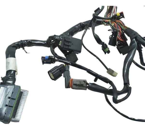 Chicote Principal Harley 883 R Sportster 08-11 Original