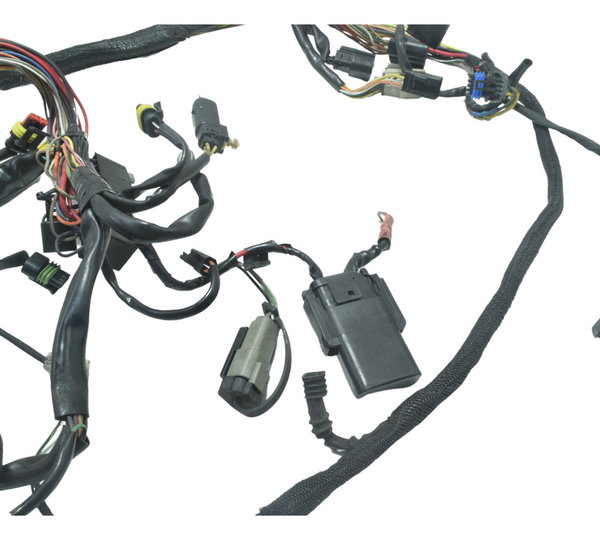 Chicote Principal Harley 883 R Sportster 08-11 Original