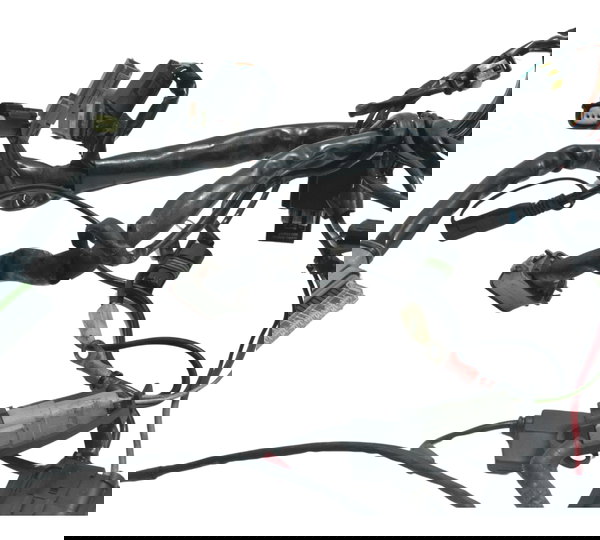 Chicote Principal Harley 883 R Sportster 08-11 Original