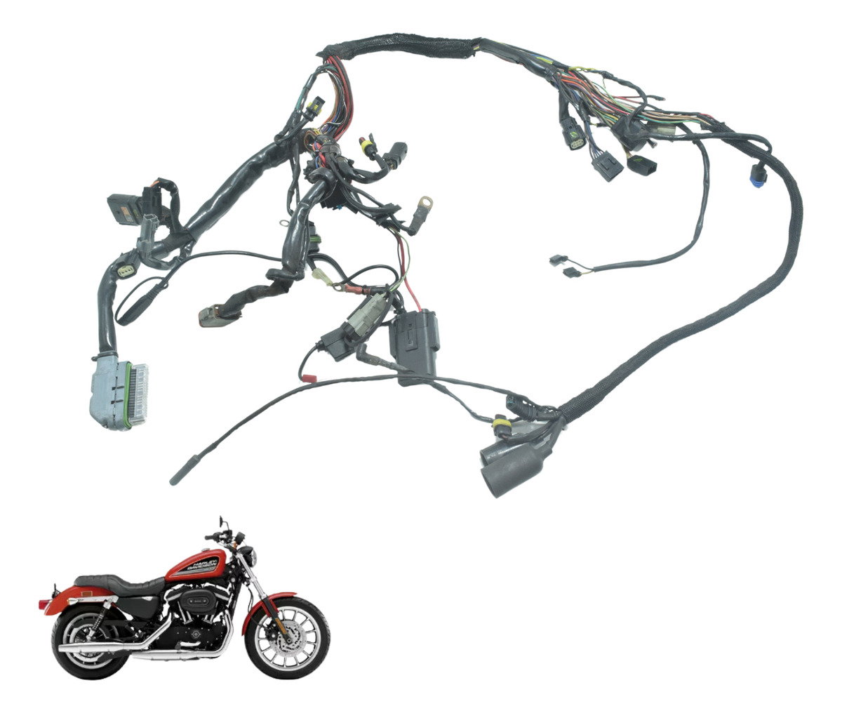 ちか Chicote Principal Harley 883 R Sportster 08-11 Original