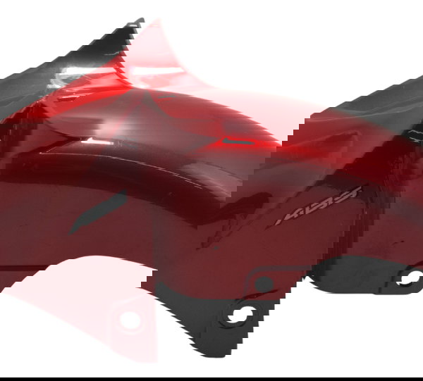 Paralama Dianteiro C/ Det Yamaha Fz25 Fazer 250 18-22 Orig