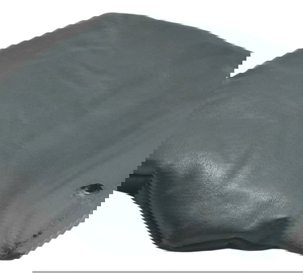 Encosto Carona Garupa C/det Harley Electra Touring 08-13