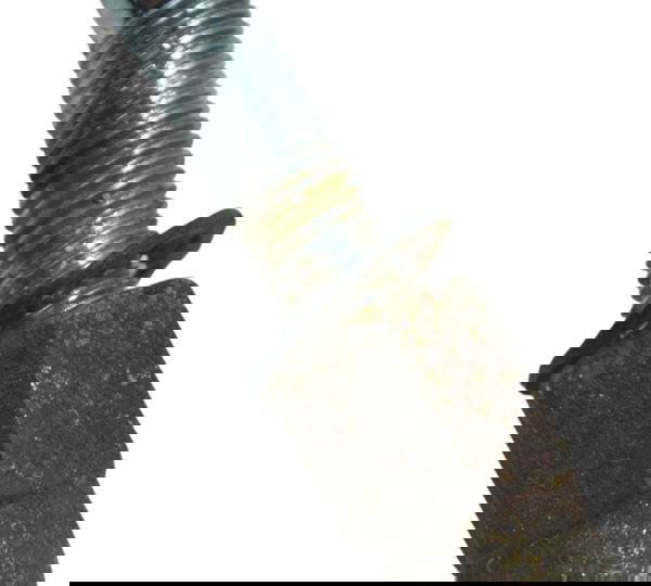 Espelho Direito Harley Electra Limited Touring 19-23 Orig