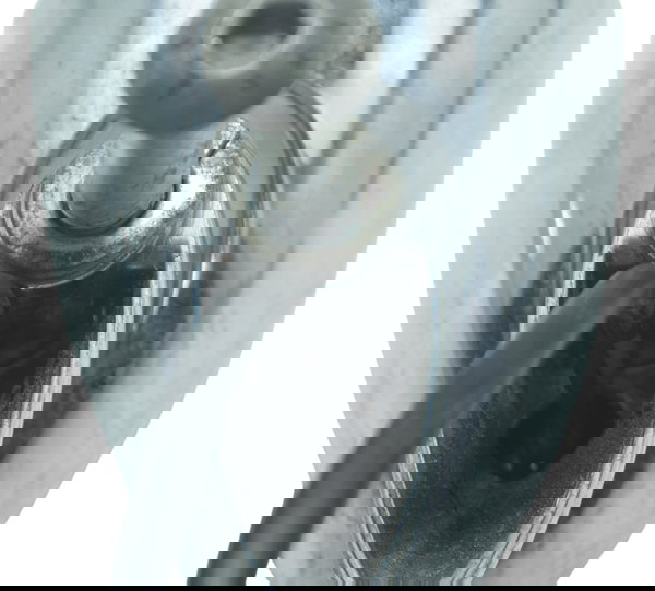 Pisca Diant S/ Lente Harley Electra Limited Touring 19-23