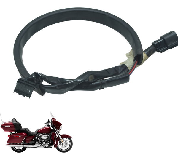 Chicote Lanterna Tras Harley Electra Limited Touring 19-23