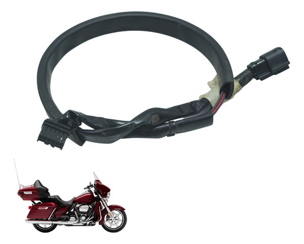 Chicote Lanterna Tras Harley Electra Limited Touring 19-23