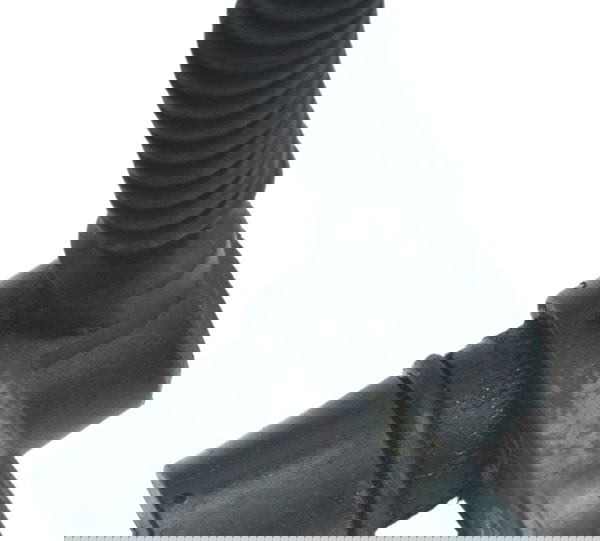 Sensor Ckp C/ Detalhes Harley Electra Touring 08-13 Original