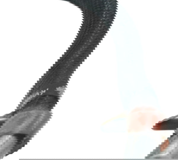 Mangueira Injeção Harley Electra Touring 08-13 Original