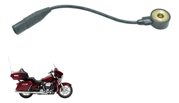 Sensor Detonação Harley Electra Limited Touring 19-23 Orig
