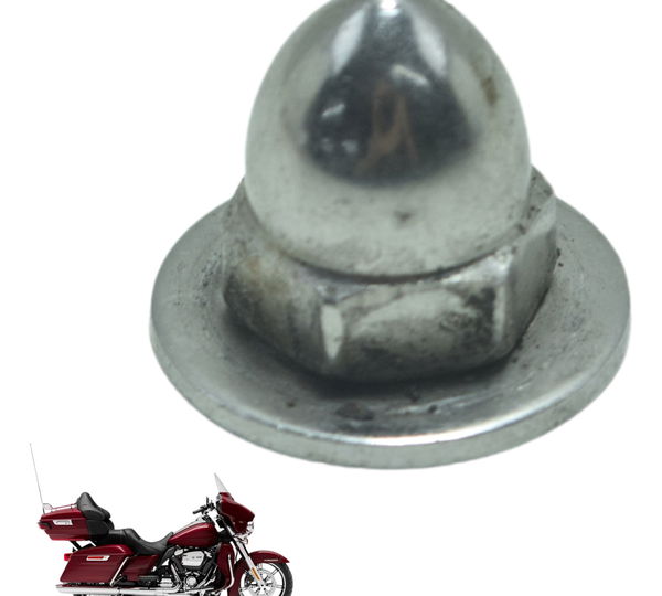 Parafuso Acabament Harley Electra Limited Touring 19-23 Orig