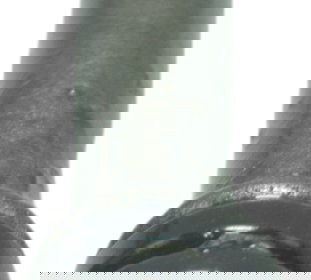 Cano Tubo Óleo Motor Triumph Daytona 675r 09-12 Original