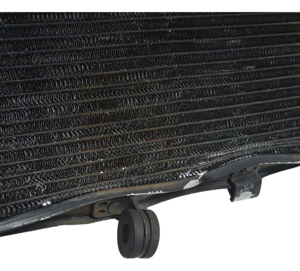 Radiador C/ Detalhes Yamaha Xj6 N 10-12 Original