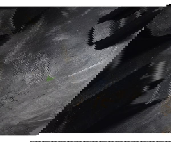 Paralama Traseiro Interno Yamaha Xj6 N 10-12 Original