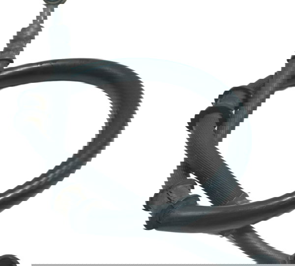 Flexível Freio Traseiro Yamaha Xj6 N 10-12 Original