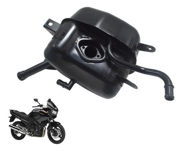 Reservatório Óleo Yamaha Tdm Twin 900 02-08 Original