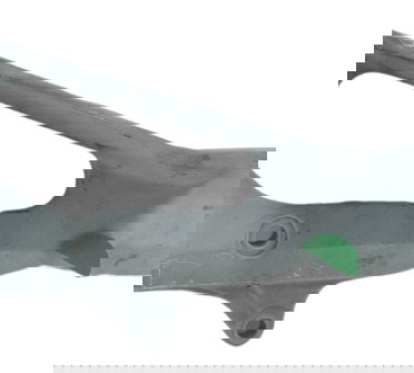 Bacalhau Direito Yamaha Tdm Twin 900 02-08 Original