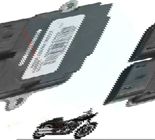 Modulo Ecm Harley Softail Fat Boy Flstf 11-15 Original