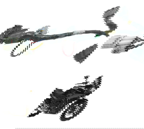 Chicote Injeção Yamaha Tdm Twin 900 02-08 Original