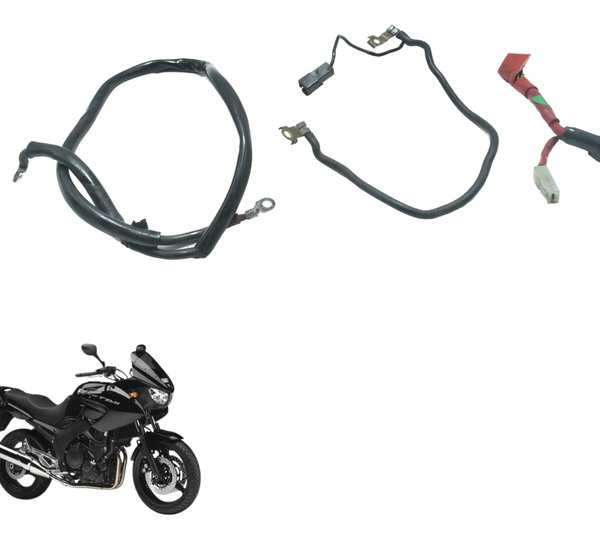 Cabo +/- Bateria Yamaha Tdm Twin 900 02-08 Original
