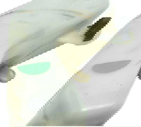 Reservatório Agua Yamaha Tdm Twin 900 02-08 Original